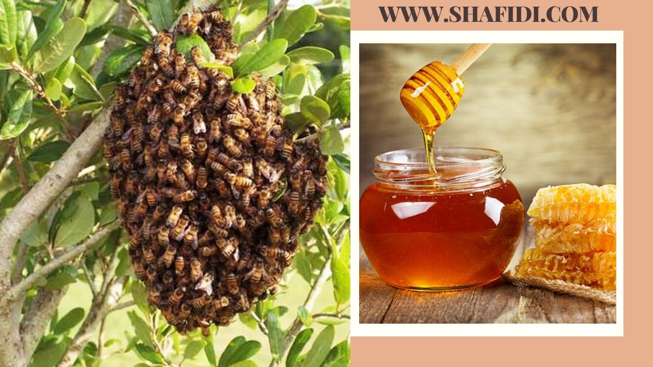 01. SBJEI-FRESH KHALISHA FLOWER HONEY